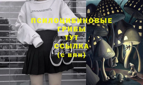 ГАЛЛЮЦИНОГЕННЫЕ ГРИБЫ Абдулино
